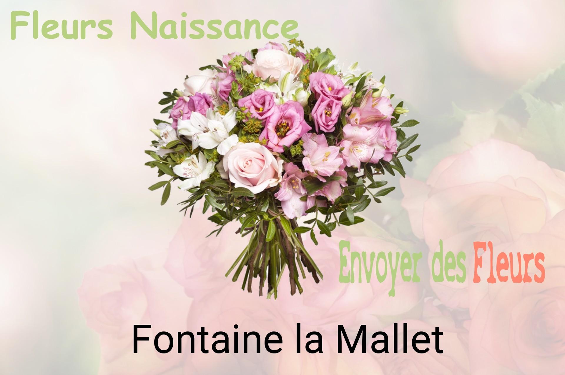 Bouquet de fleurs de naissance livré à Fontaine-la-Mallet